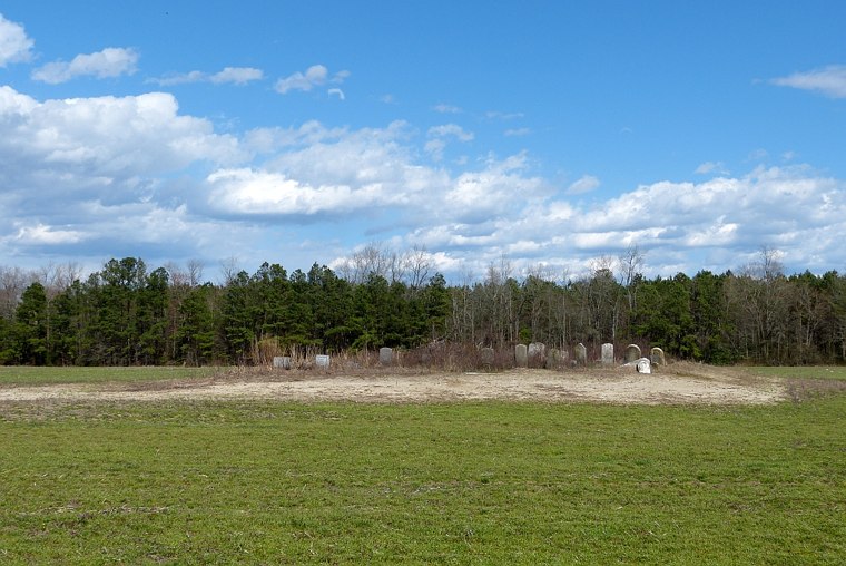 Wide view of Atkinson/Causey/Miller Cemetery, showing gravestones in a field near the tree line