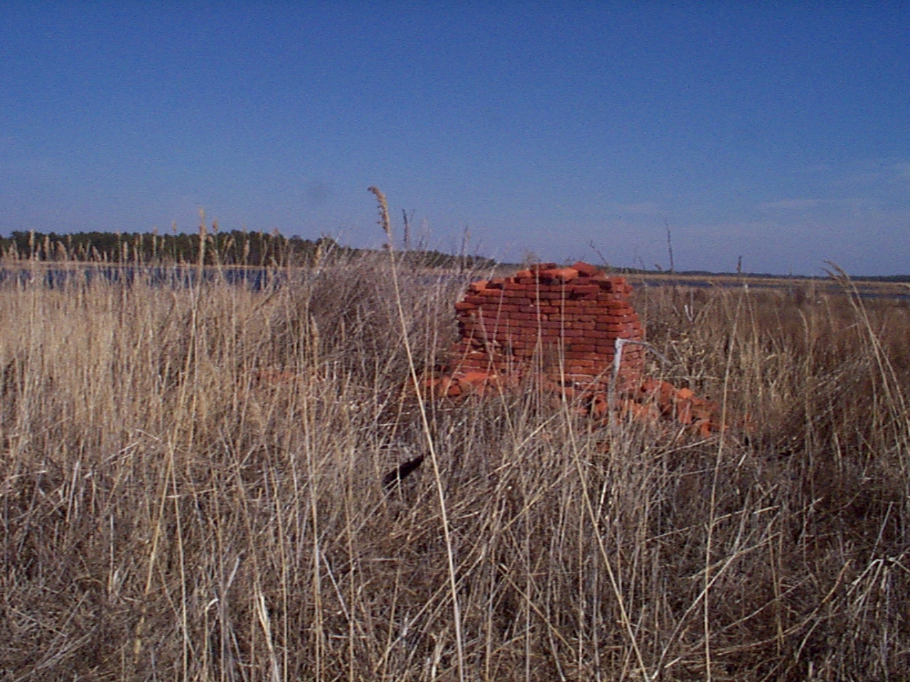 Remains of the brick chimney at the old Davy homesite