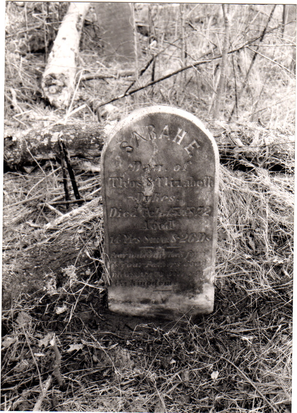Gravestone of Sarah E. Dykes