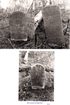 Original sheet of three Dykes gravestone photographs