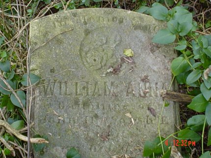 Headstone or supporting photograph for Williamana Ford