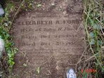 Headstone or supporting photograph for Elizabeth A. Ford — additional view