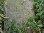 Headstone or supporting photograph for Williamana Ford — additional view