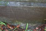 DCP_0681.JPG — additional view