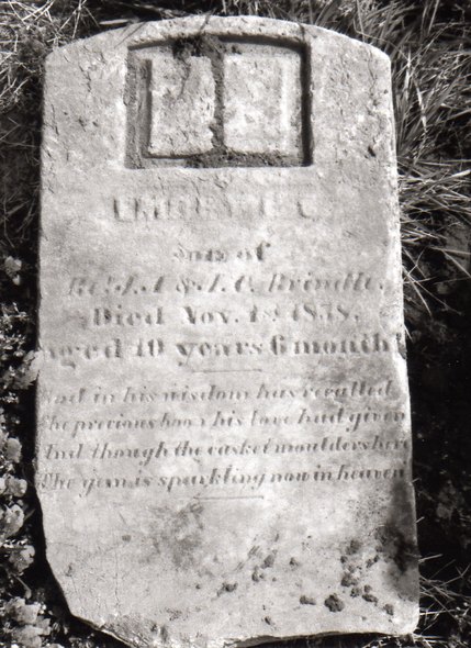 Headstone or supporting photograph for Emory G. C. Briddle