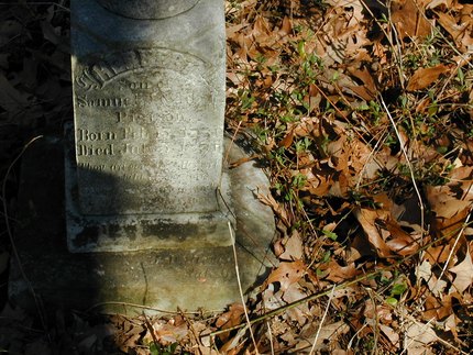 Headstone or supporting photograph for Herbert Pierson