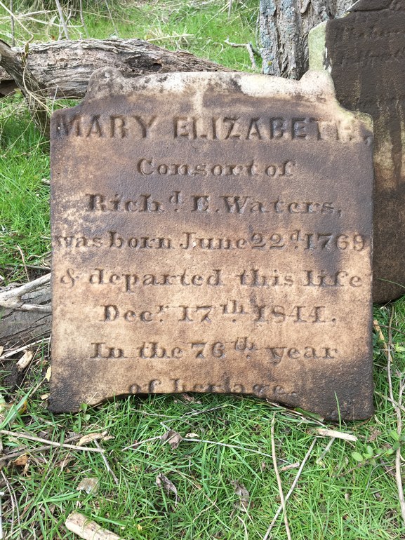 Gravestone: Mary Elizabeth (Curtis) Waters