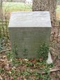 Headstone or supporting photograph for Virginia Reese — additional view