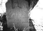 Scan1.jpg — additional view