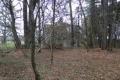 Additional field photograph