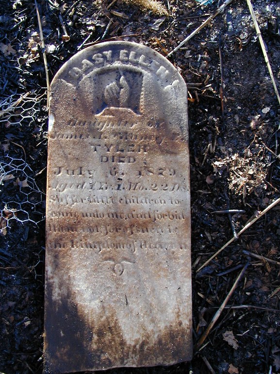 Gravestone: Dasy Ellen Tyler