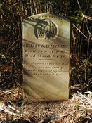 Additional photograph: Charles O. Beauchamp