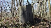 Additional field photograph
