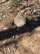Additional field photograph
