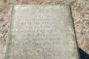 Additional photograph: Elizabeth Wilson (wife of John C. Wilson Jr.)