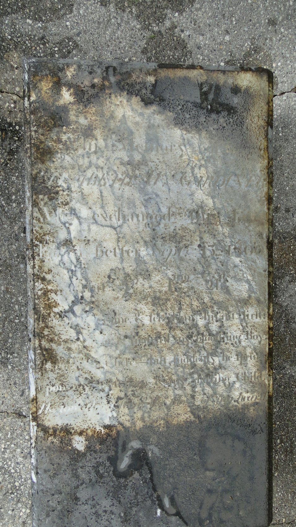 Gardner, Eliz