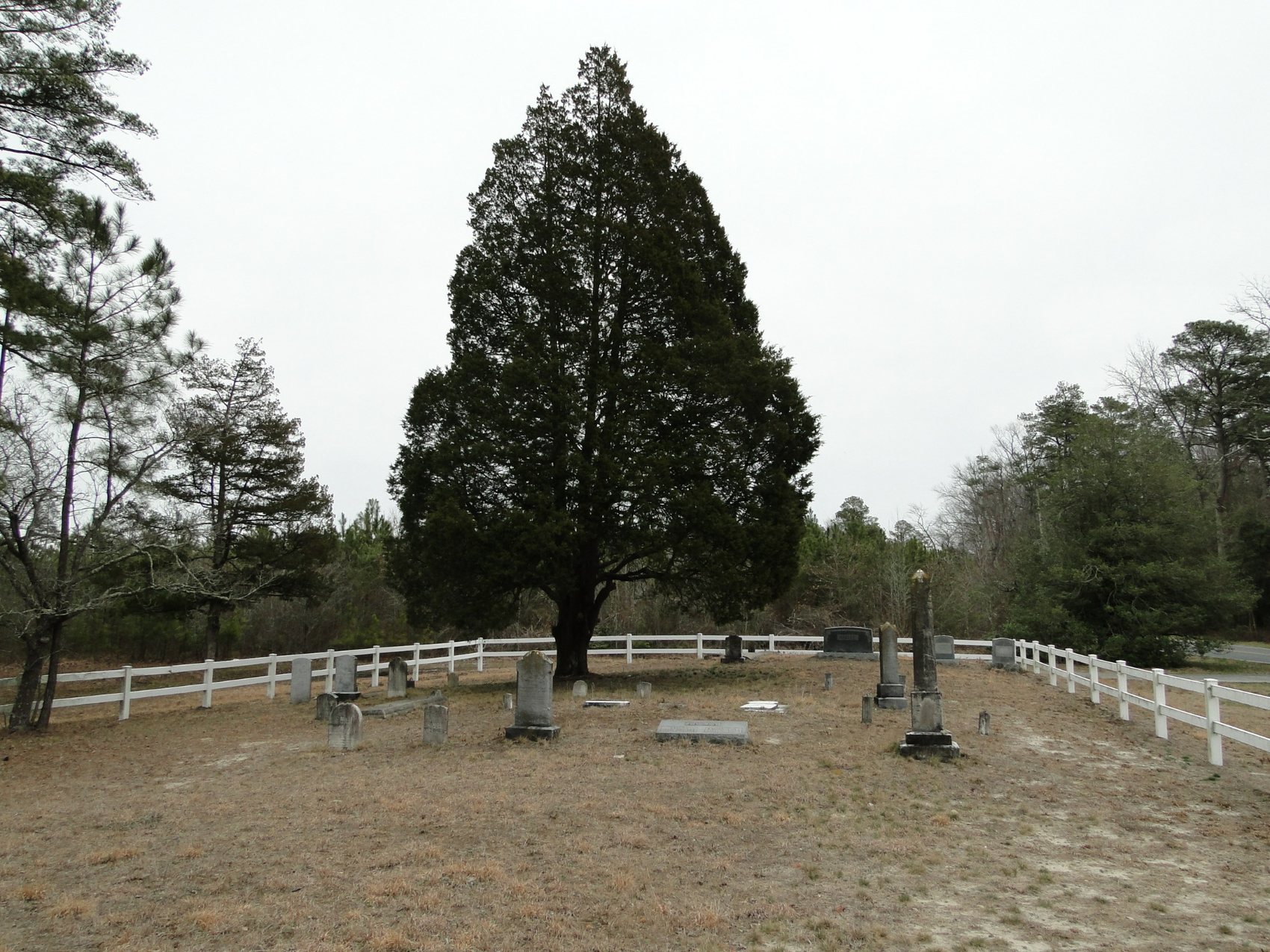 Old Nazareth Cemetery, west view.
