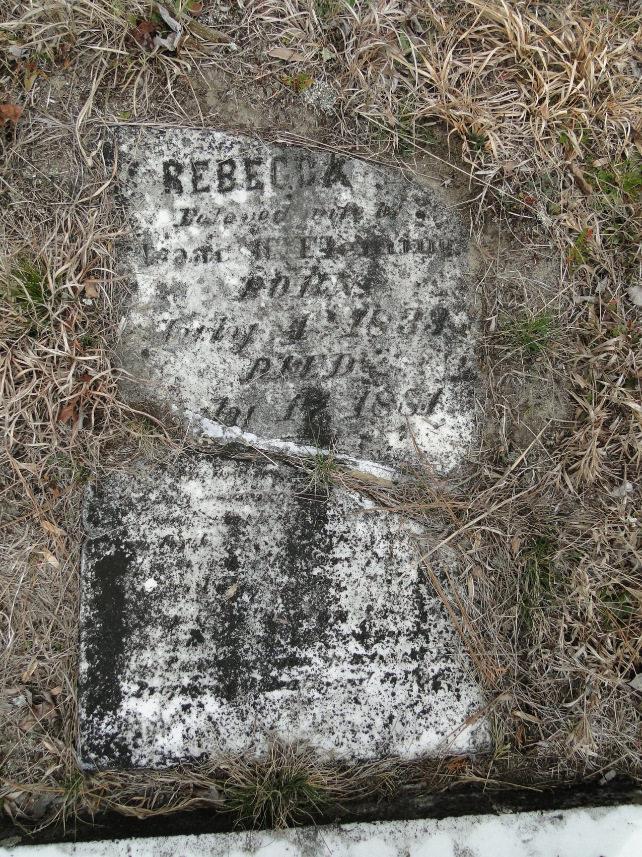 Fleming, Rebecca