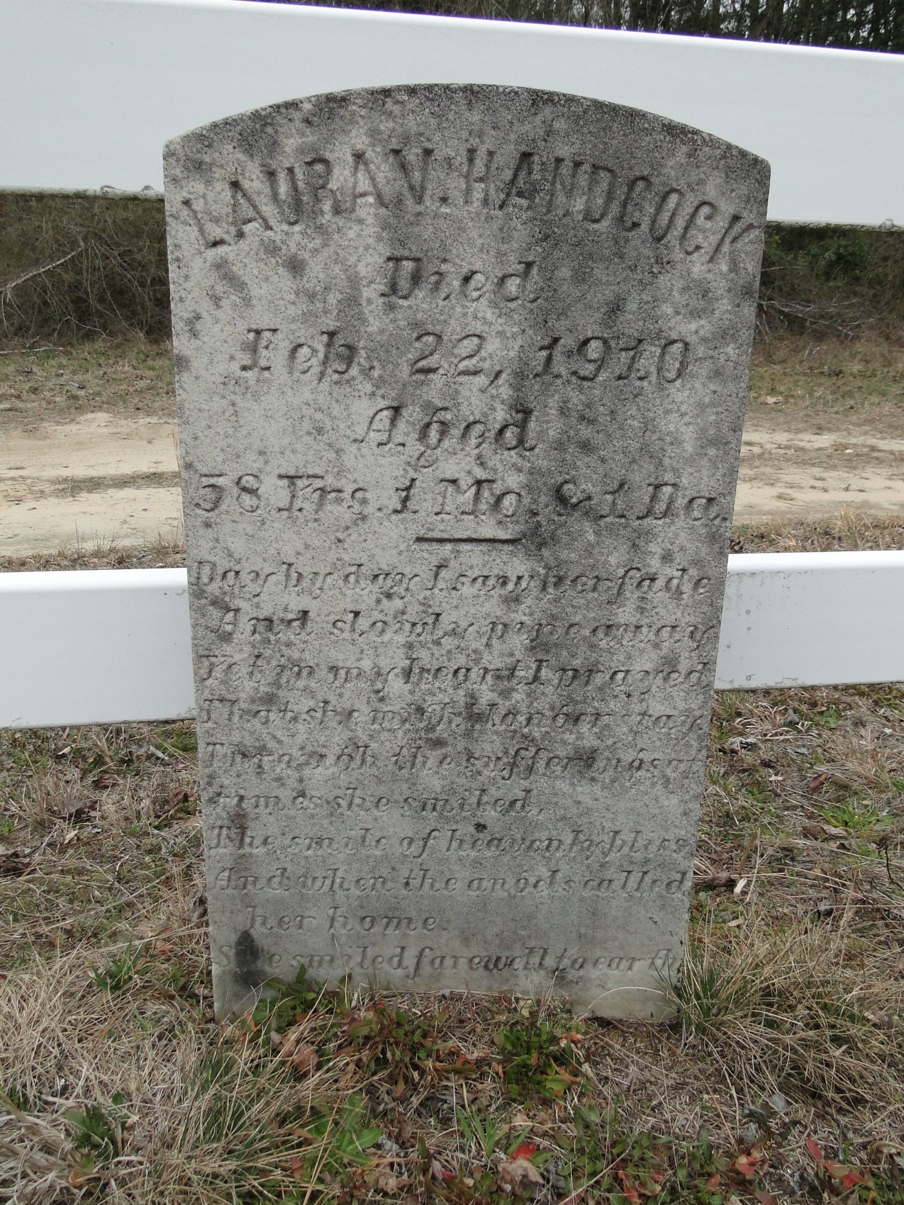 Handcock, Laura V.