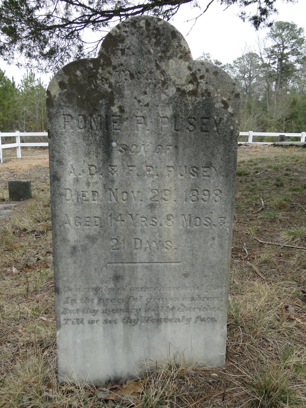 Pusey, Romie P. (sibling son of A. D.)
