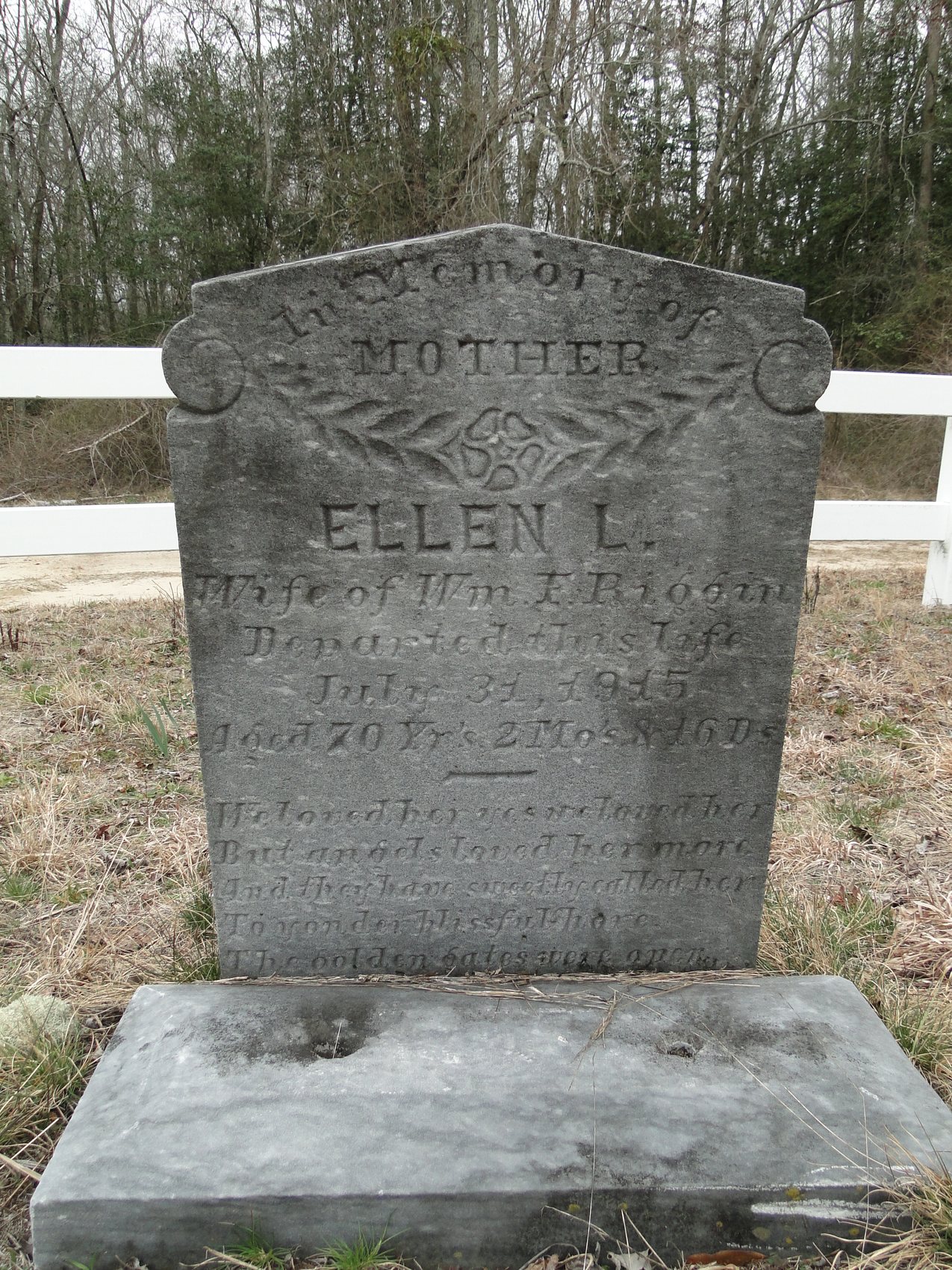 Riggin, Ellen L. (wife of Wim. F.