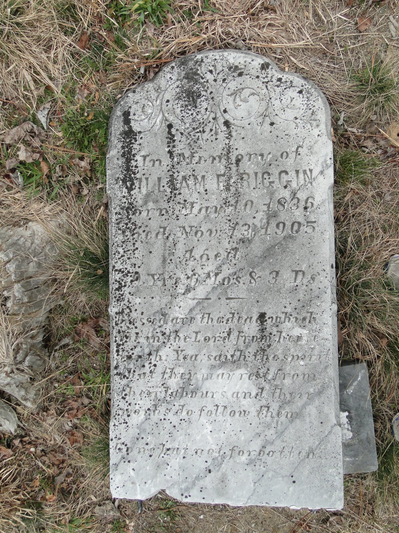 Riggin, William F.